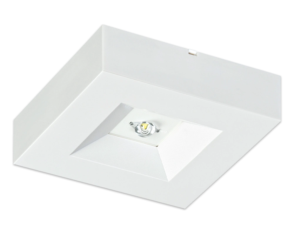 BEAM 2 BEAM 125 PC A F web
