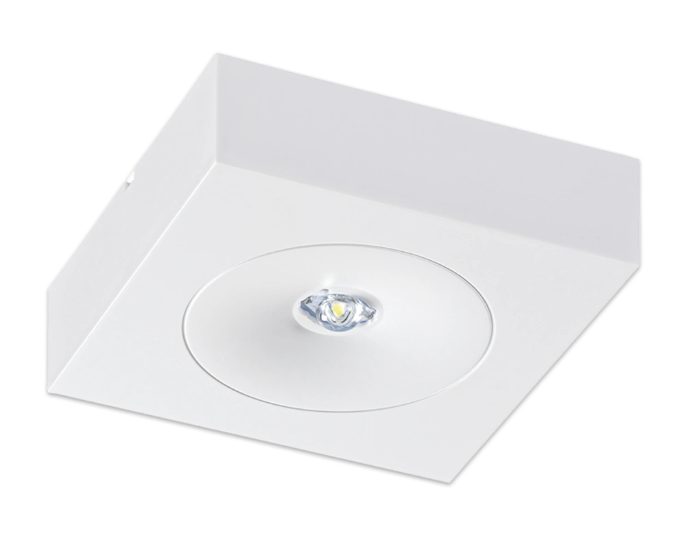 BEAM 4 BEAM – Bild 2