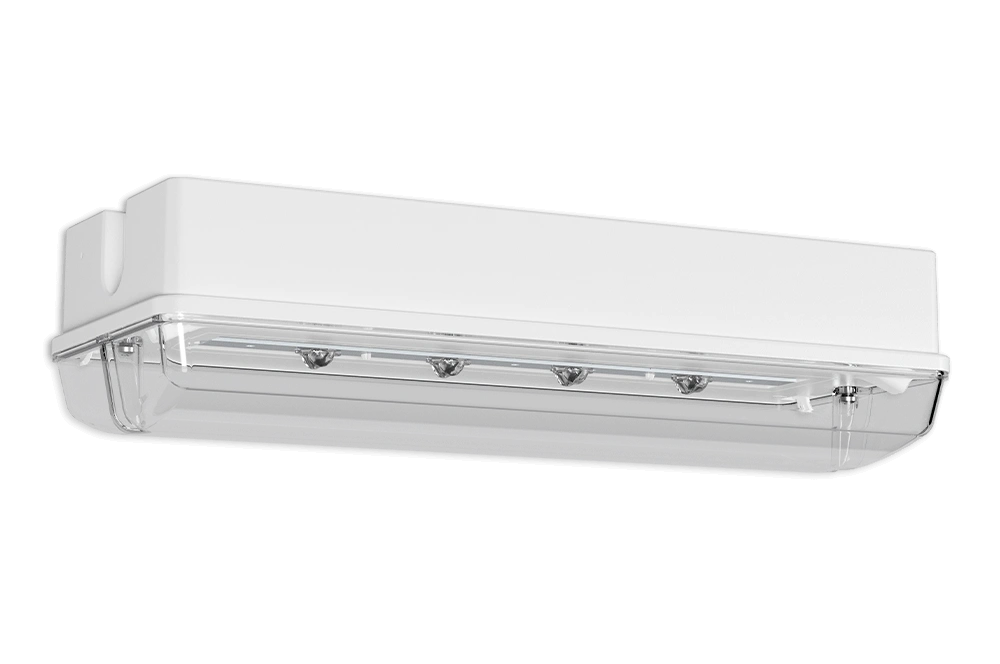 PROTECT 5 PROTECT – Bild 3