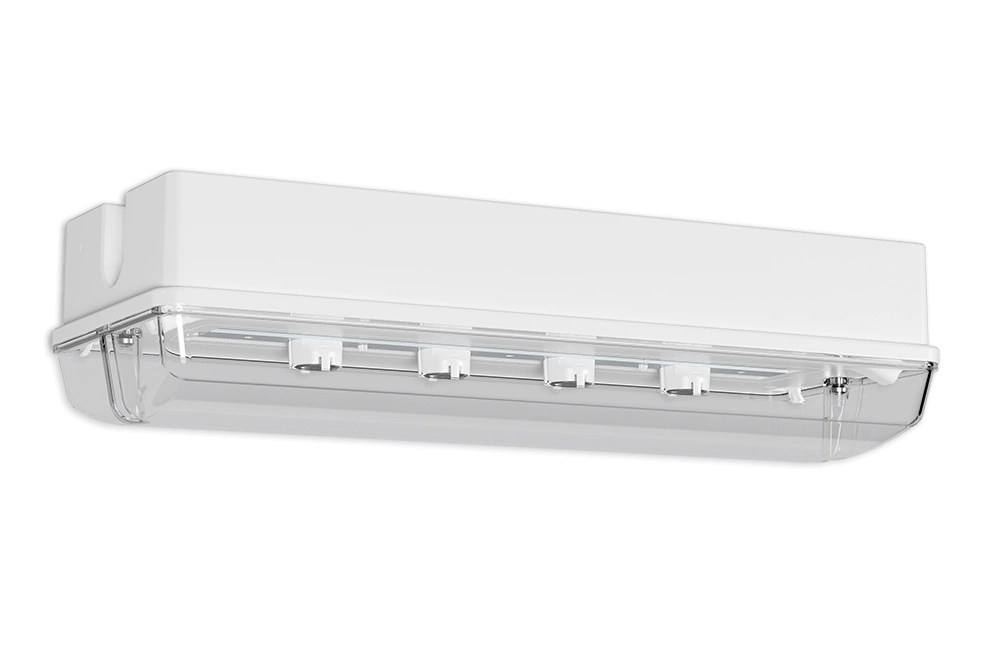 PROTECT 6 PROTECT – Bild 4
