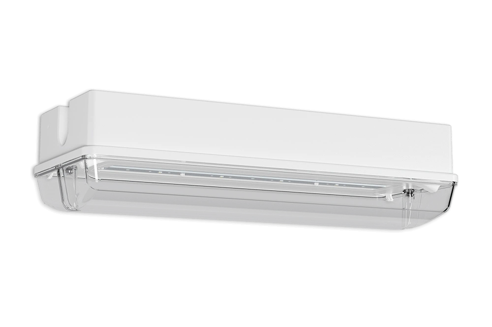 PROTECT 4 PROTECT – Bild 2