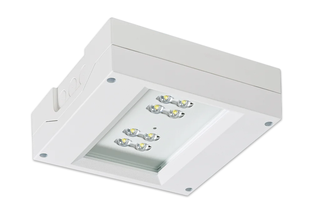 SAFE 5 SAFE – Bild 4
